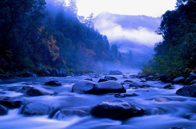 Contact Feather River Action!