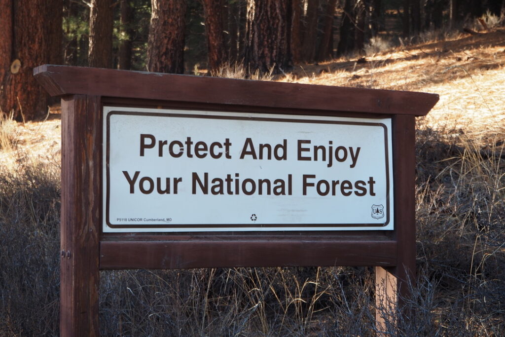Sign saying "protect and enjoy your national forest"